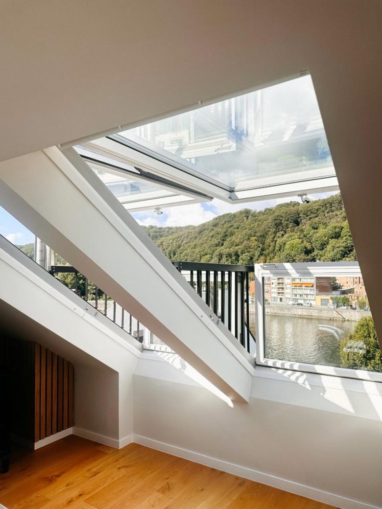Vue sur la Meuse et la Citadelle de Namur – The Edgewater Suites Riverside, Namur