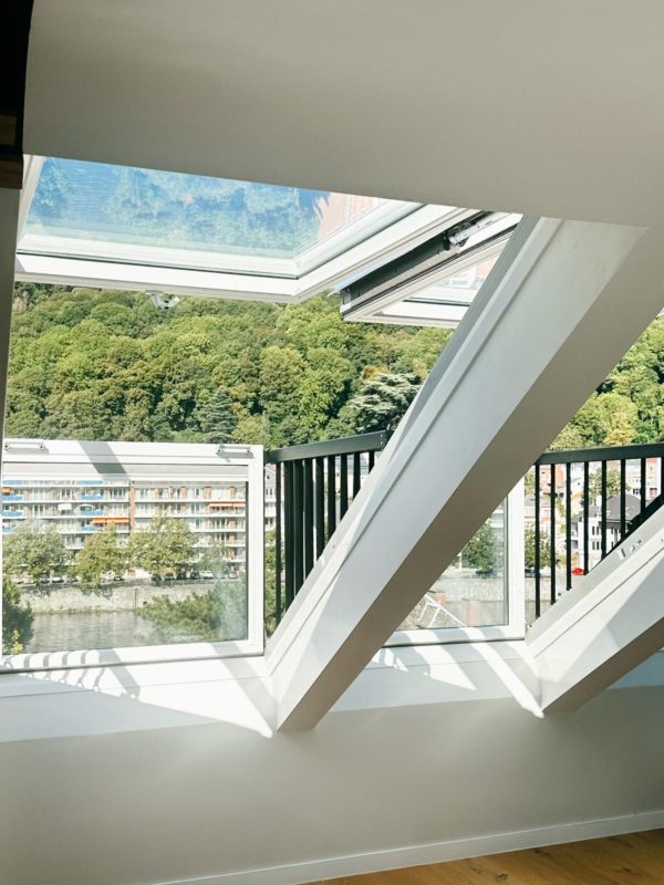 Vue sur la Meuse et la Citadelle de Namur – The Edgewater Suites Riverside, Namur