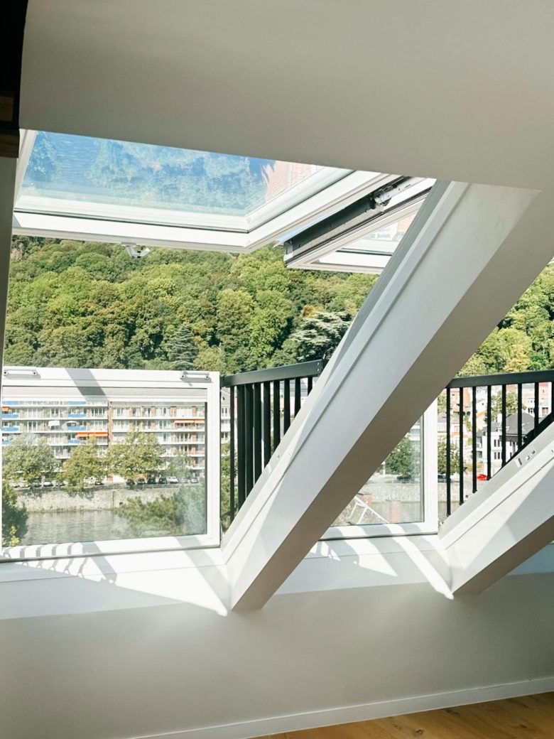 Vue sur la Meuse et la Citadelle de Namur – The Edgewater Suites Riverside, Namur