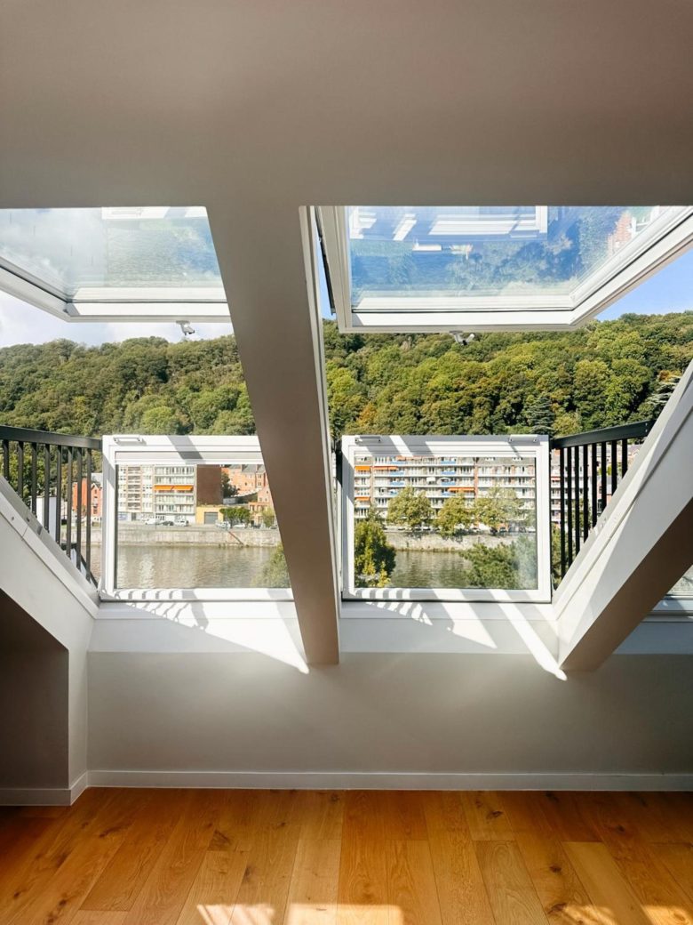 Vue sur la Meuse et la Citadelle de Namur – The Edgewater Suites Riverside, Namur